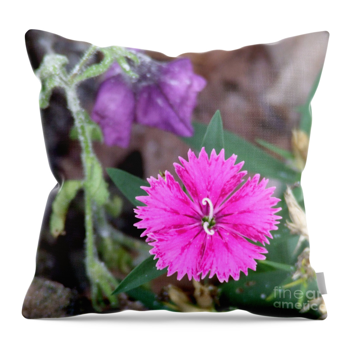 Flower Throw Pillow featuring the photograph Solitary by Andrea Anderegg