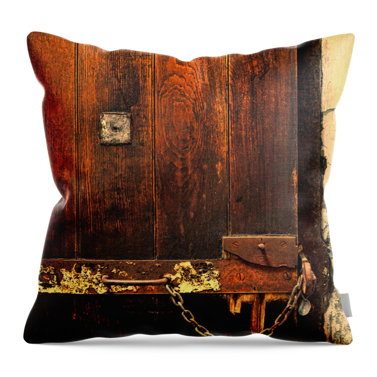Solitary Throw Pillow featuring the photograph Solitary Confinement Door by Jill Battaglia