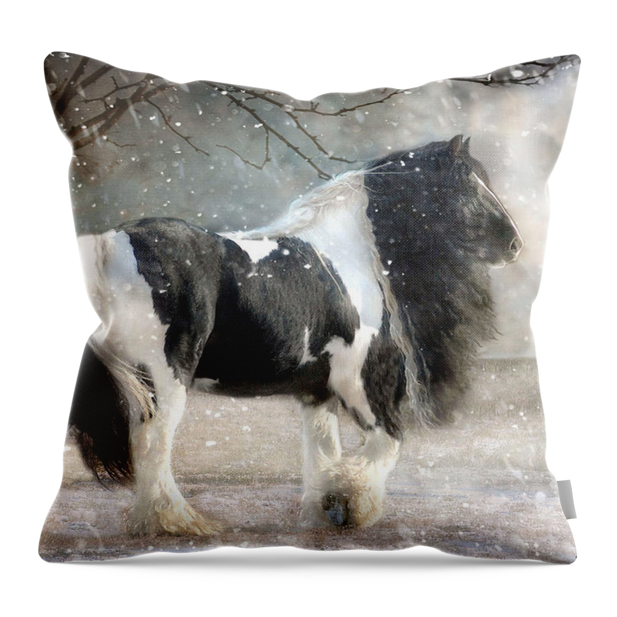 Horse Photographs Throw Pillow featuring the photograph Solitary by Fran J Scott