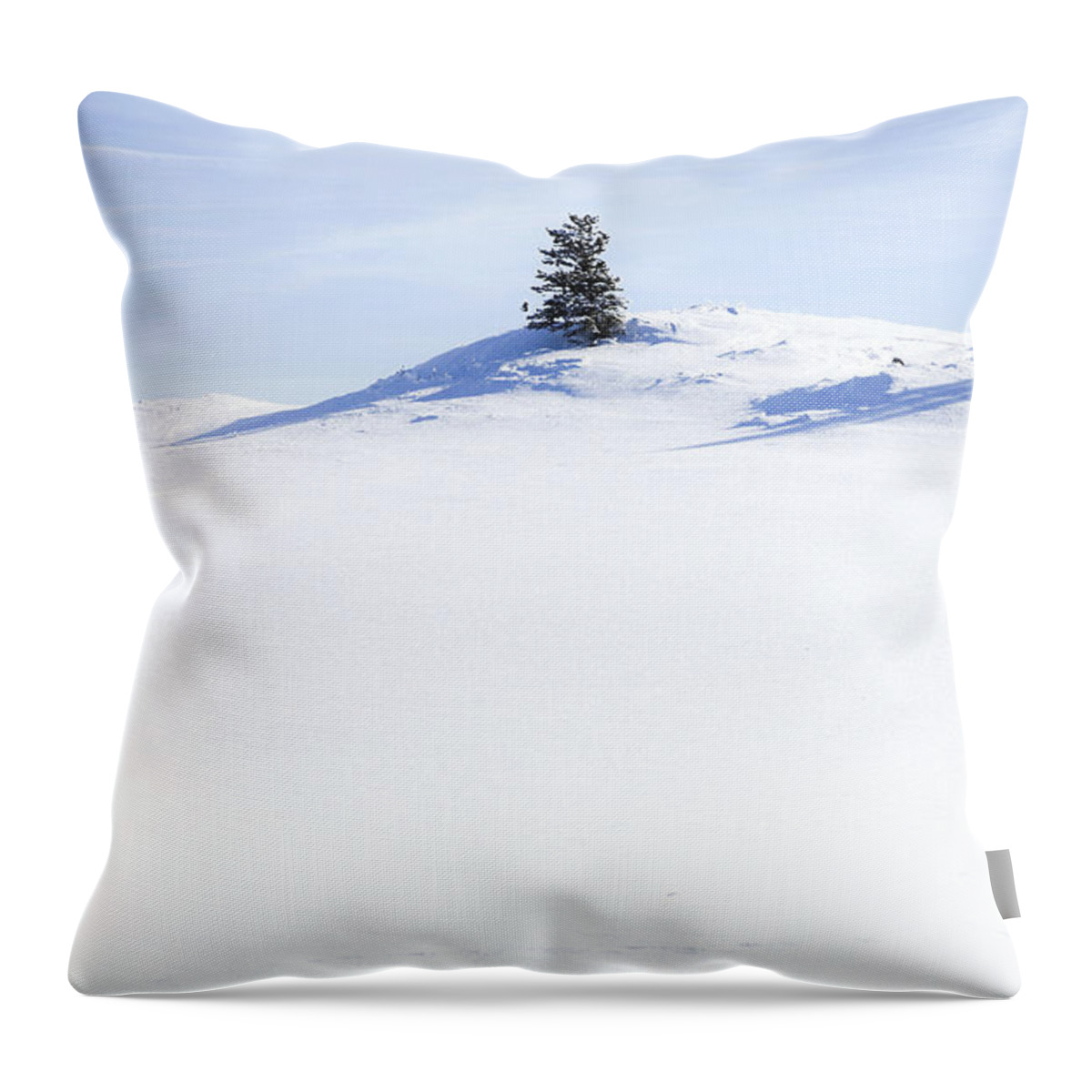 Solitary Throw Pillow featuring the photograph Solitary by Theresa Tahara