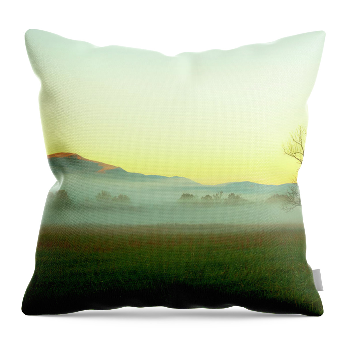 Scenics Throw Pillow featuring the photograph Solitary Tree In The Fog, Great Smoky by Moreiso