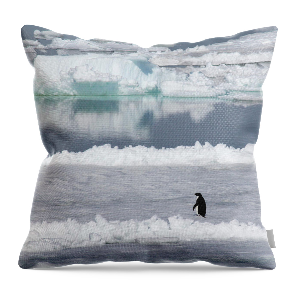 Ice Throw Pillow featuring the photograph Solitude by Ginny Barklow