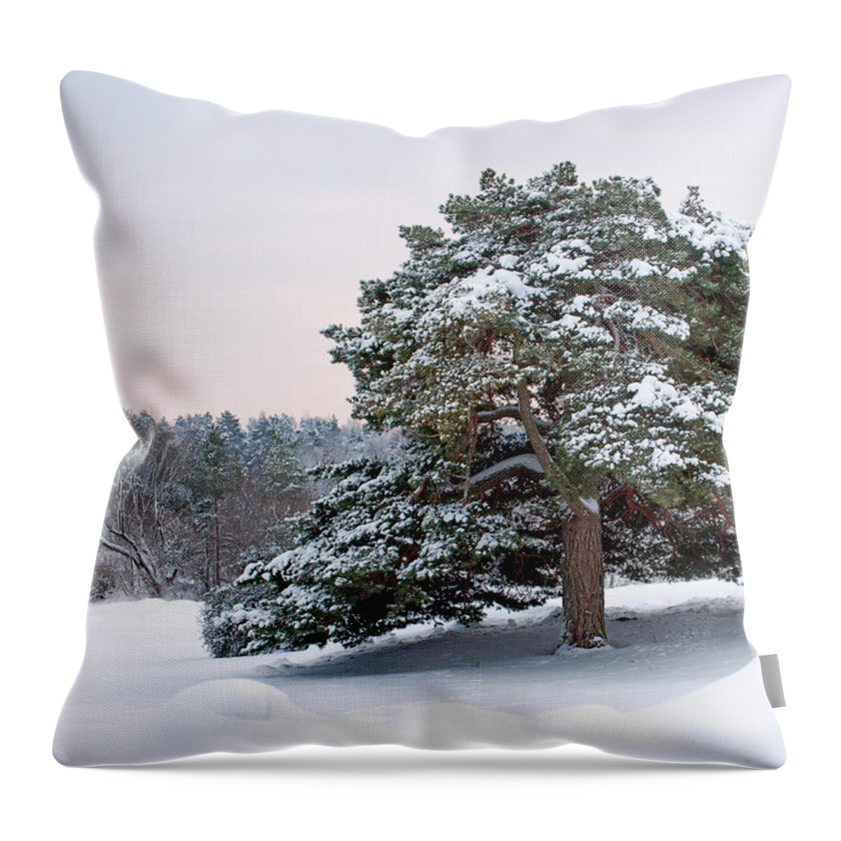 Solitude Throw Pillow featuring the photograph Solitude by Torbjorn Swenelius