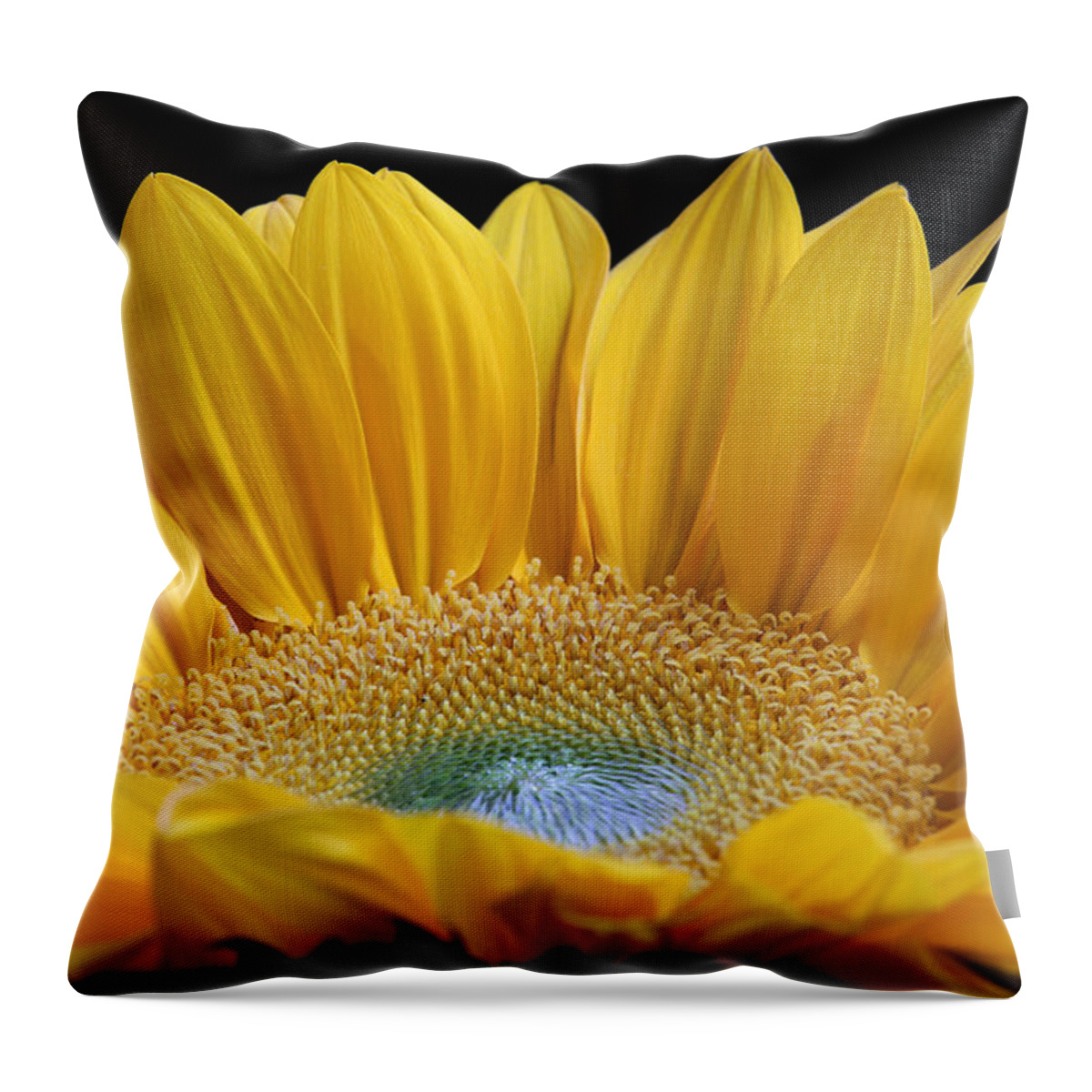 Sunflower Throw Pillow featuring the photograph Sometimes I Get a Good Feeling by Juergen Roth