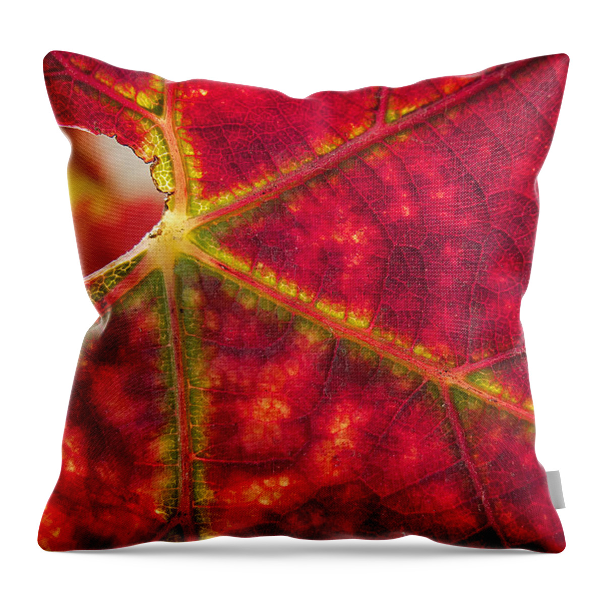 Outdoors Throw Pillow featuring the photograph Sonoma Fall Leaf by Doug Davidson
