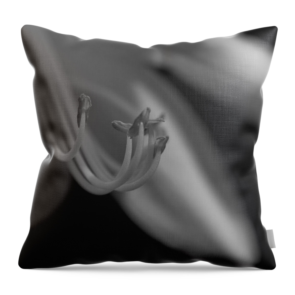 Flower Throw Pillow featuring the photograph Soulless Bloom by Paul Watkins