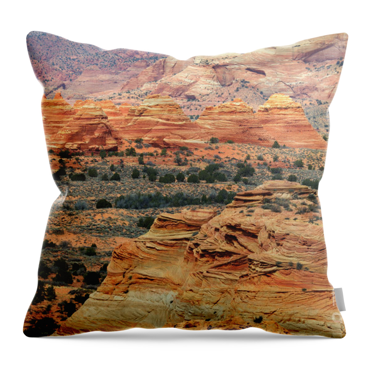 Rock Throw Pillow featuring the photograph South Coyote Buttes 1 by Bob Christopher