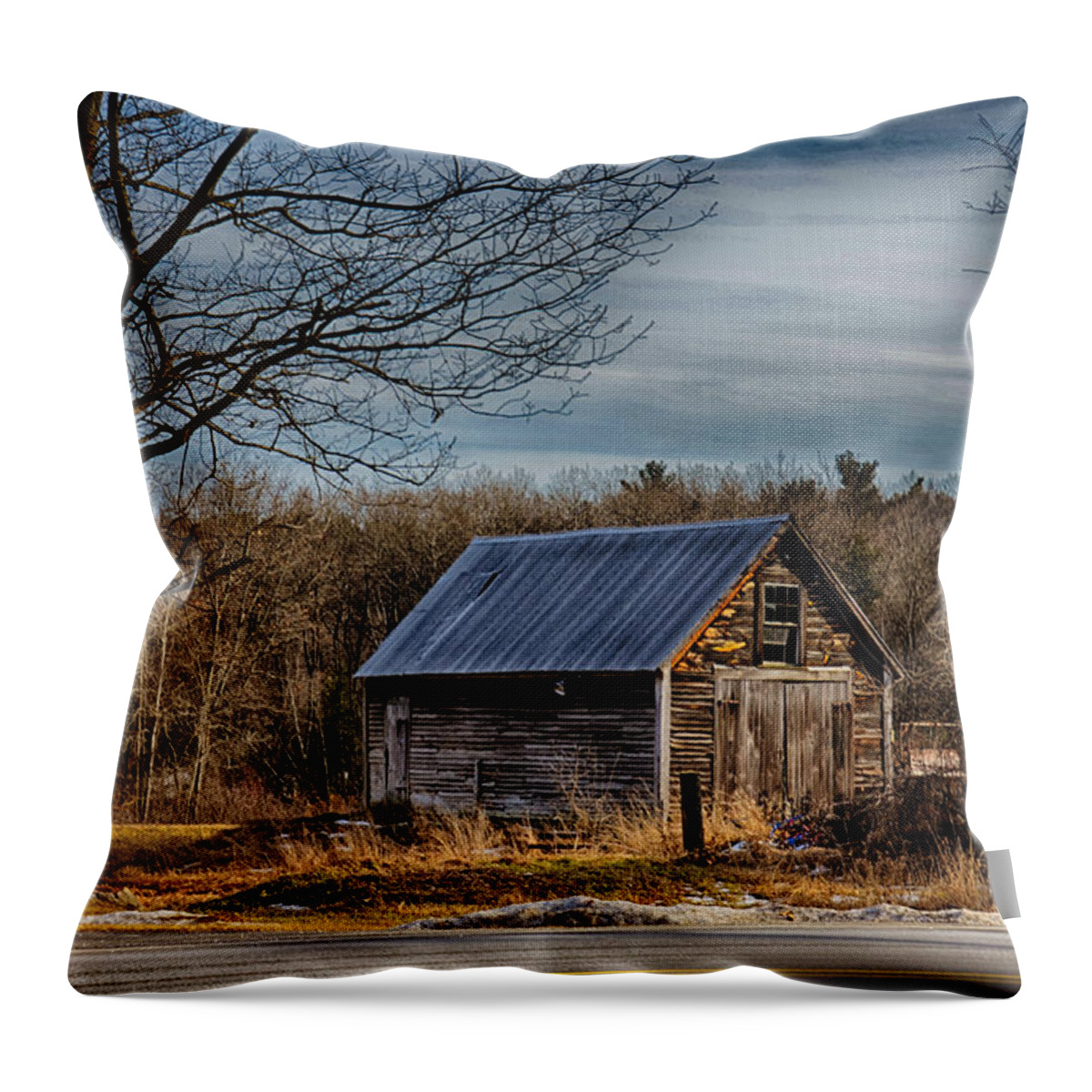 Nature Throw Pillow featuring the photograph South Road Shack by Tricia Marchlik