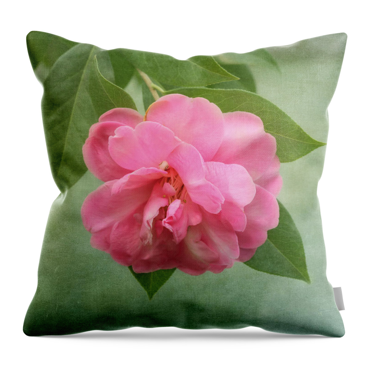 Flower Throw Pillow featuring the photograph Southern Camellia Flower by Kim Hojnacki