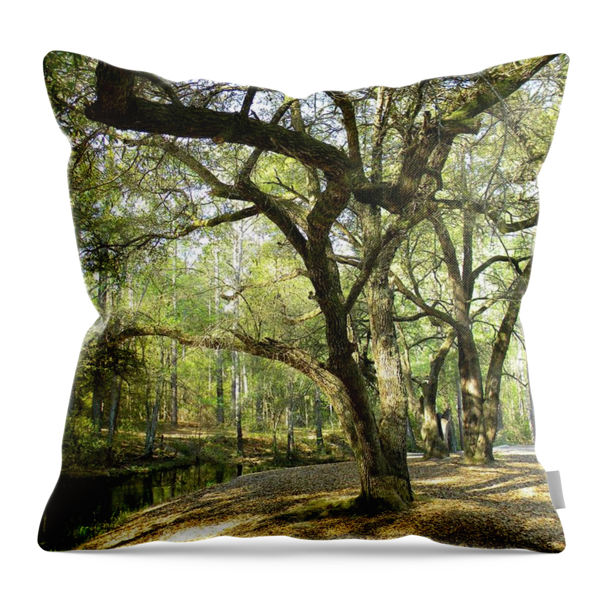 South Throw Pillow featuring the photograph Southern Charm by Matthew Seufer