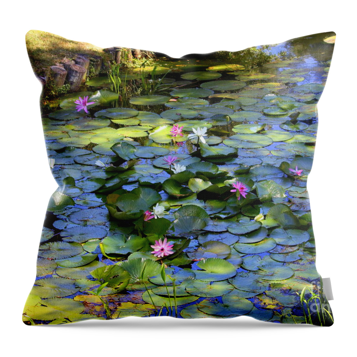 Lily Pond Throw Pillow featuring the photograph Southern Lily Pond by Carol Groenen