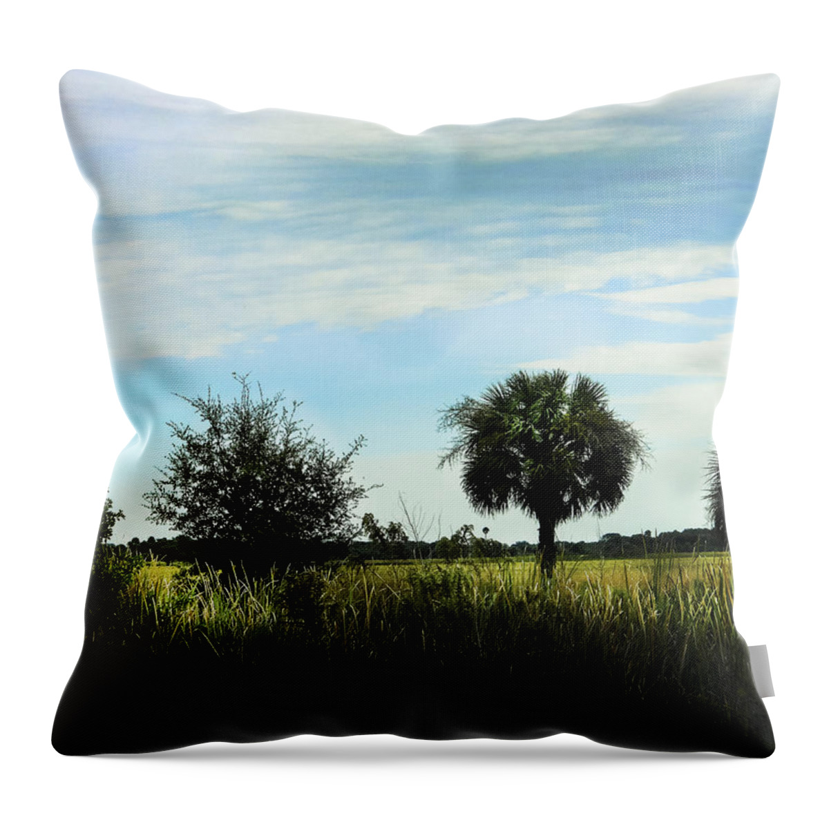 Field Throw Pillow featuring the photograph Southern Serenity by Judy Hall-Folde