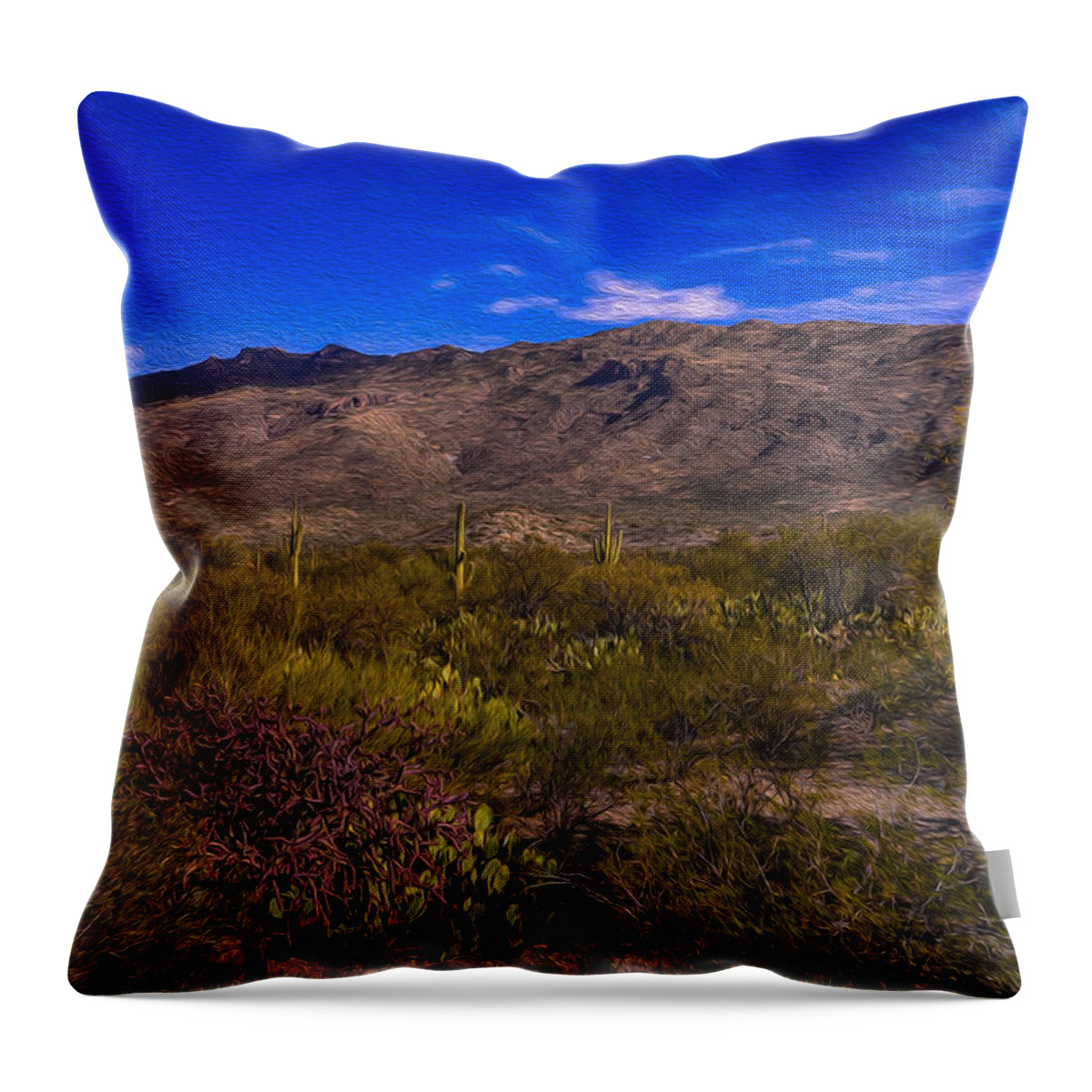 Aso Throw Pillow featuring the photograph Southwest Salad No.12 by Mark Myhaver