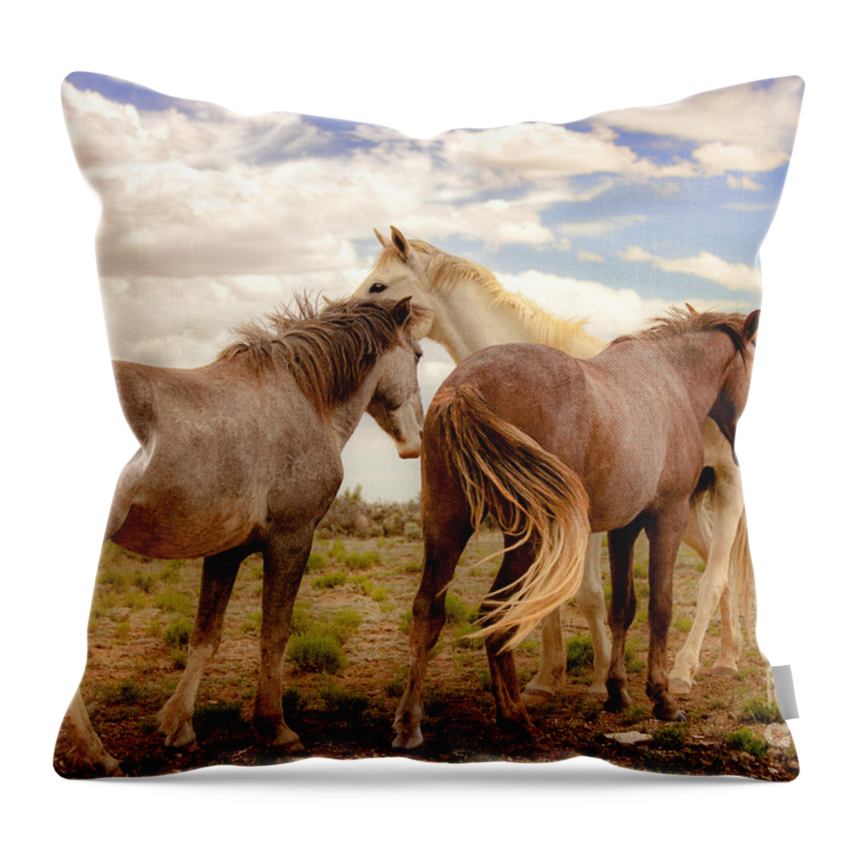 Southwest Wild Horses With White Stallion On Navajo Indian Reservation In New Mexico Throw Pillow featuring the photograph Wild Horses With White Stallion On Navajo Indian Reservation by Jerry Cowart