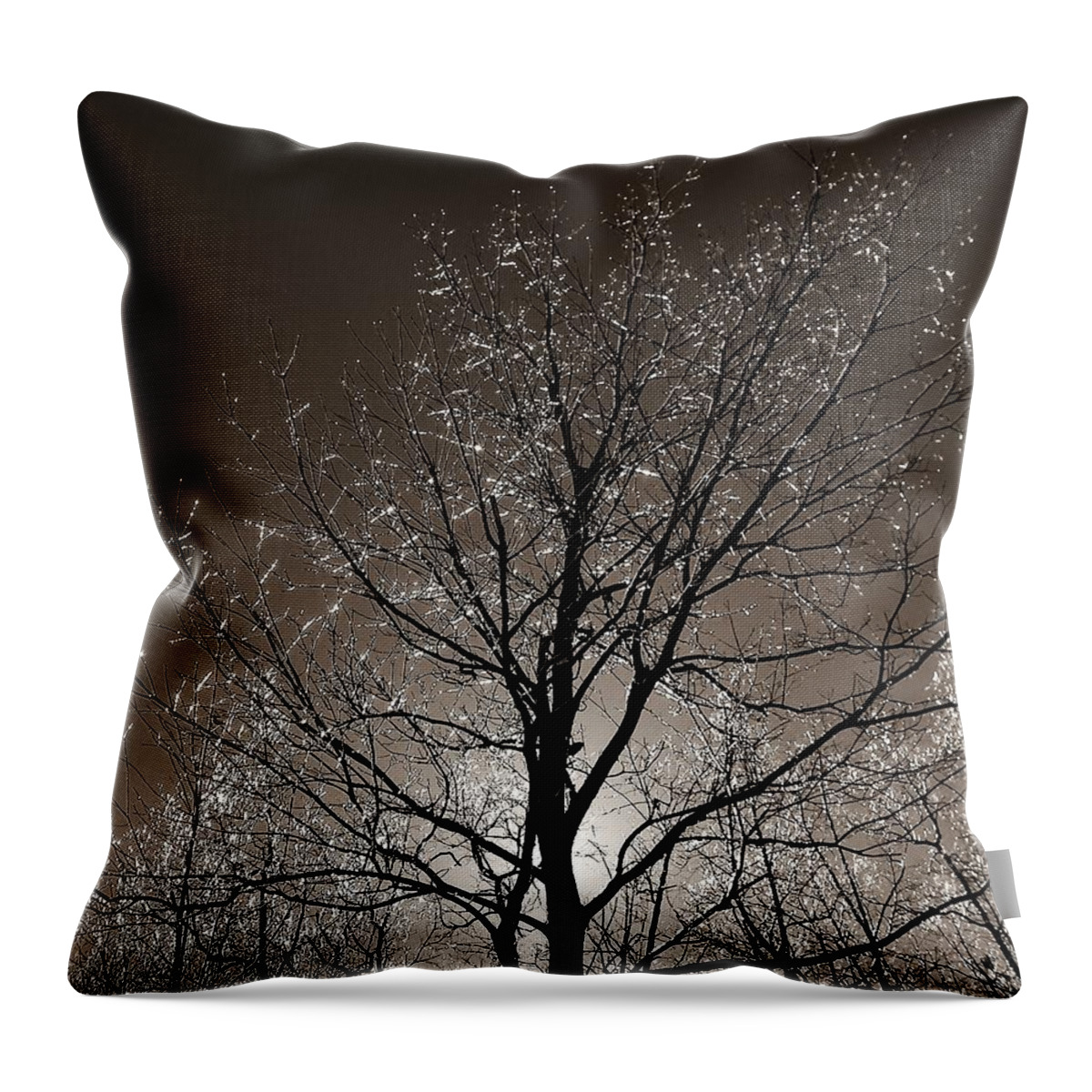 Tree Throw Pillow featuring the photograph Sparkling Branches by Kathi Mirto
