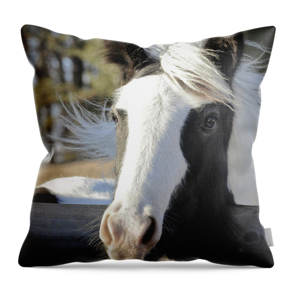  Throw Pillow featuring the photograph Sparkling Emma by Terry Kirkland Cook