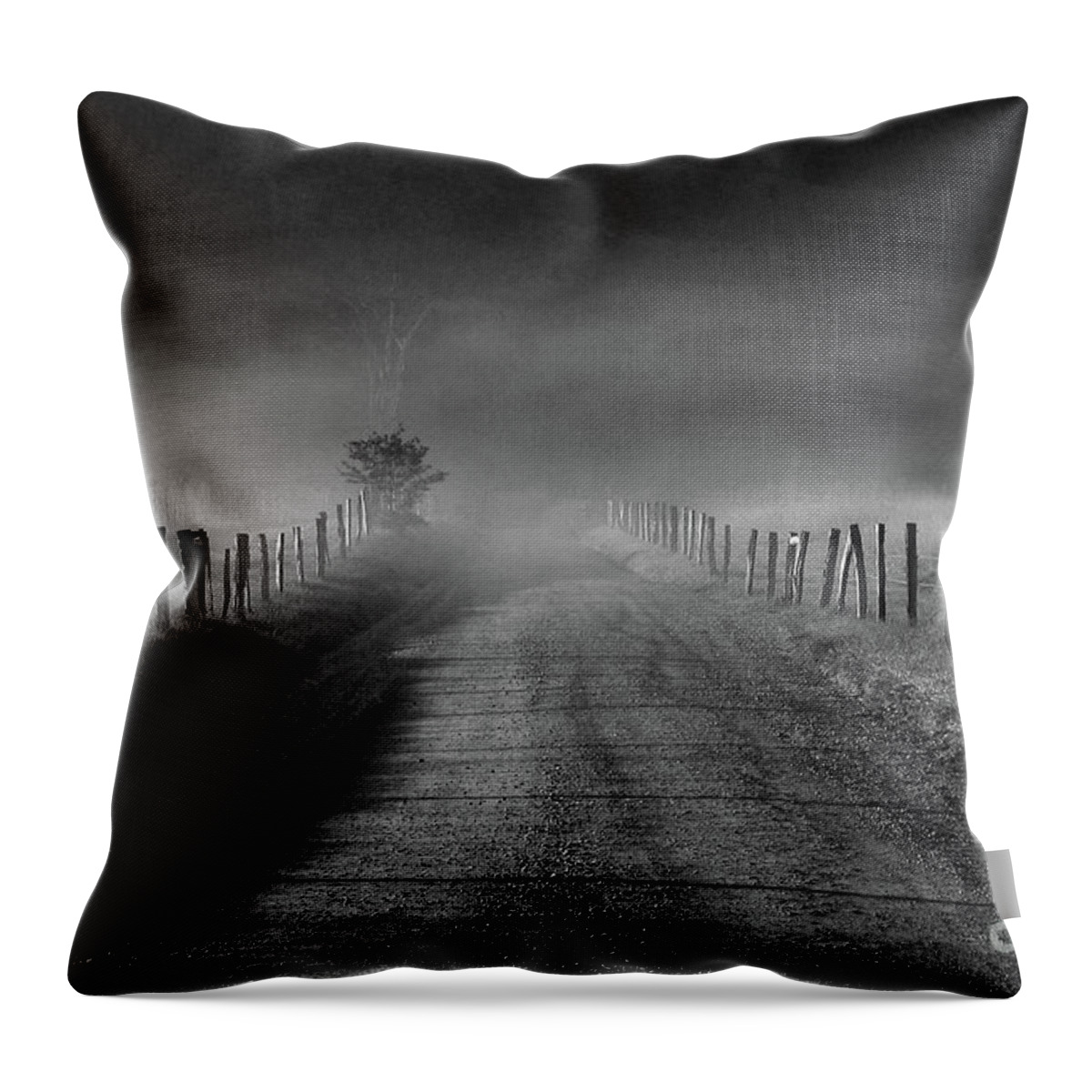 Fence Throw Pillow featuring the photograph Sparks Lane in Black and White by Douglas Stucky