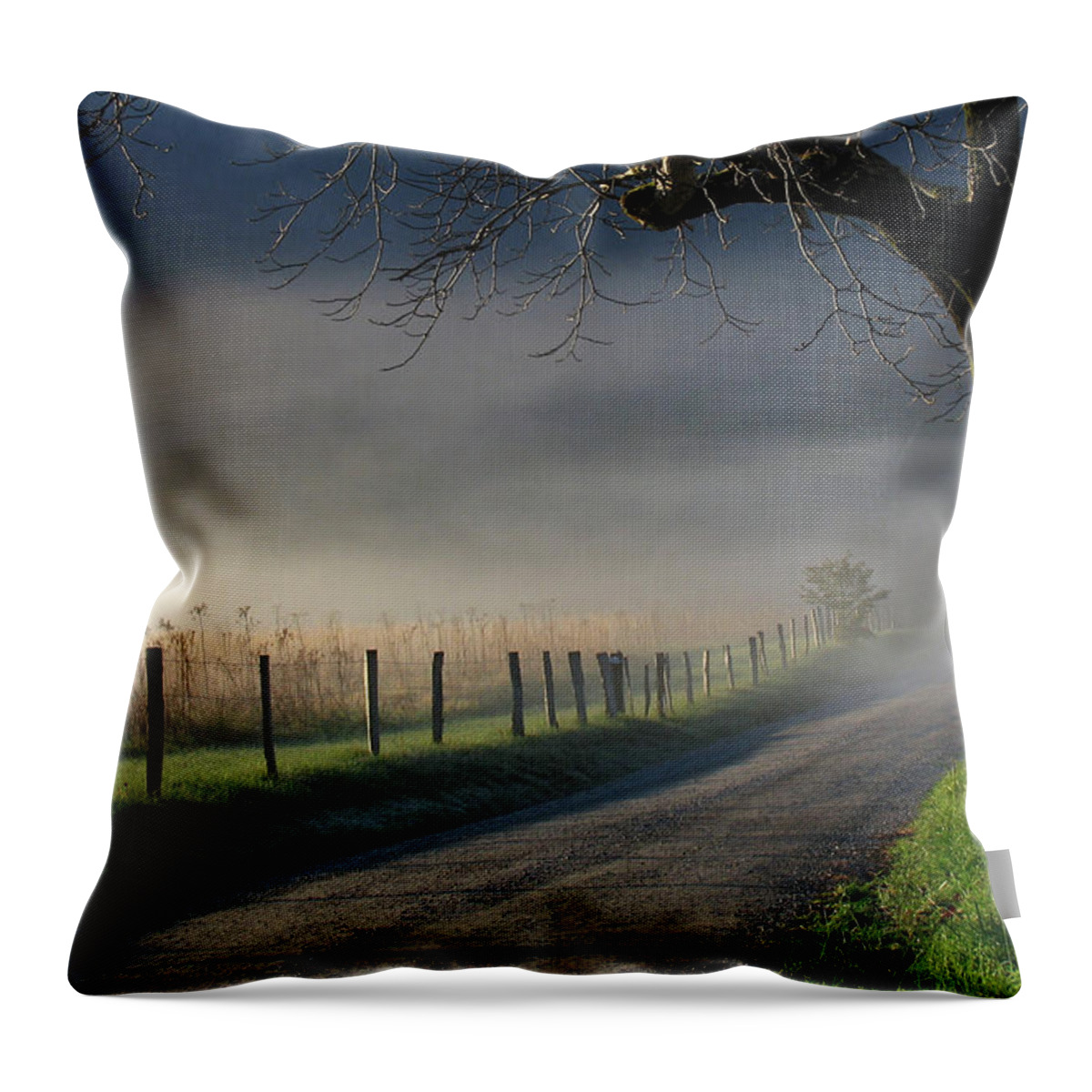 Cades Cove Throw Pillow featuring the photograph Sparks Lane Sunrise III by Douglas Stucky