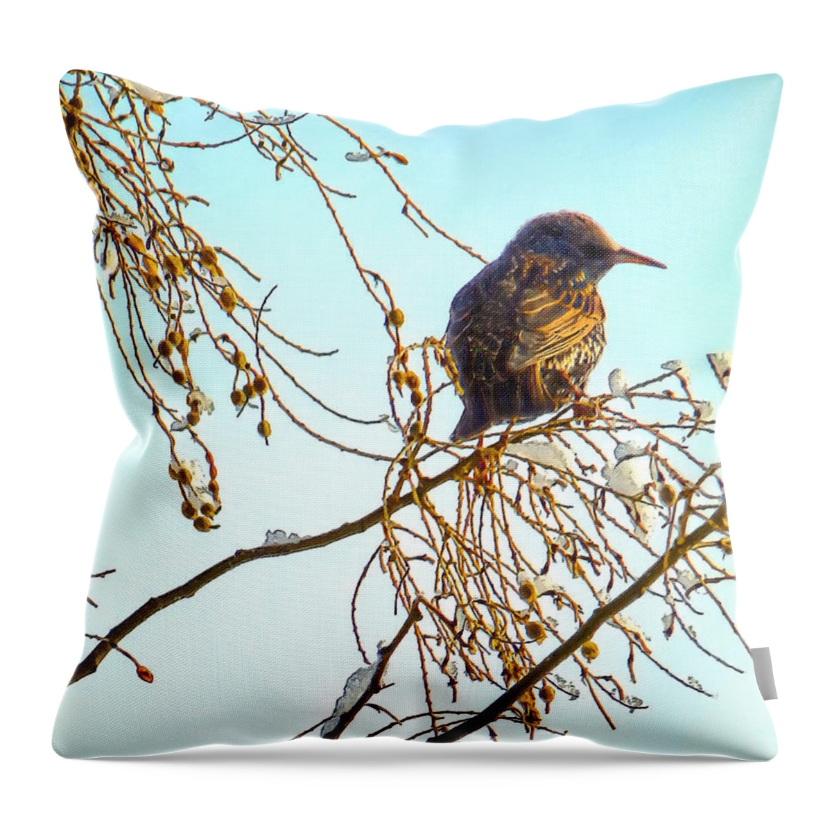 Sparrow Throw Pillow featuring the photograph Sparrow on a Winter Branch by Susan Savad