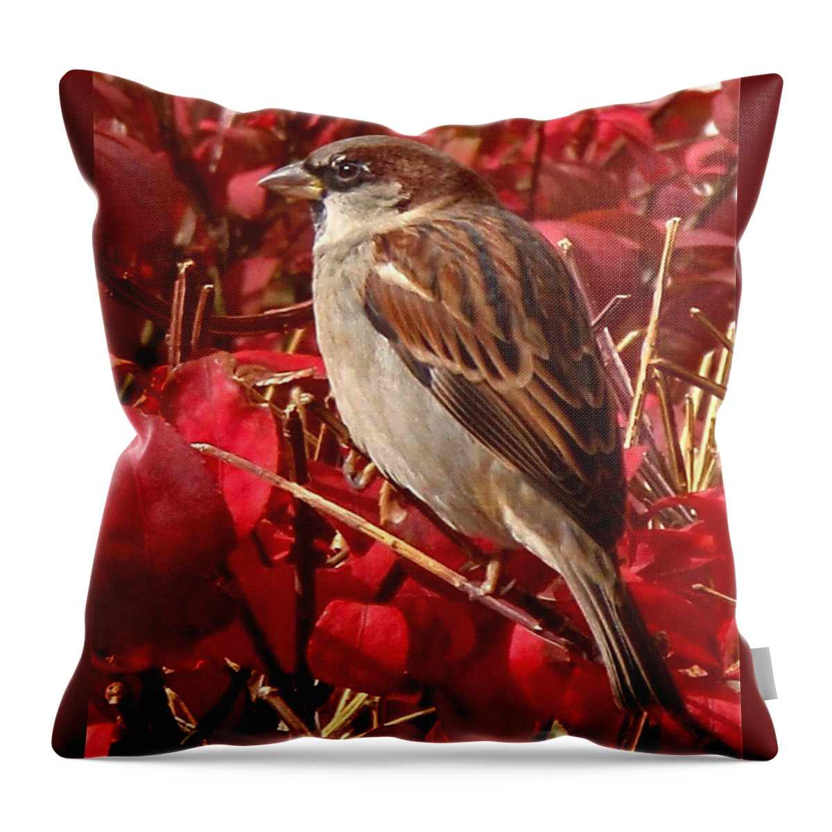 Sparrow Throw Pillow featuring the photograph Sparrow by Rona Black