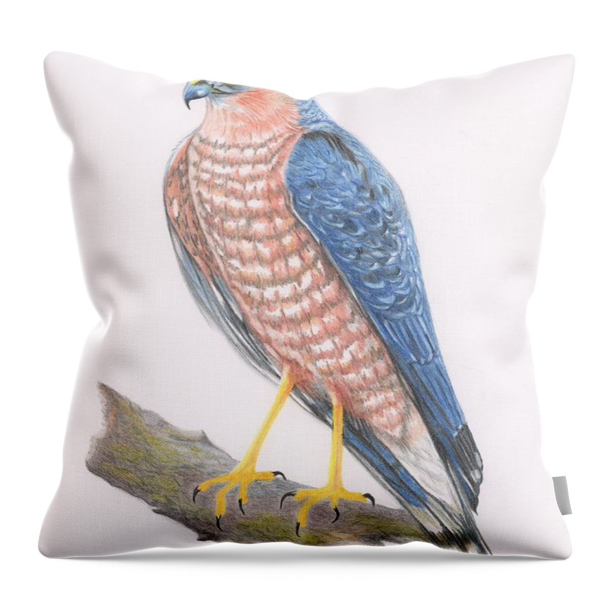 Sparrowhawk Throw Pillow featuring the drawing Sparrowhawk by Yvonne Johnstone