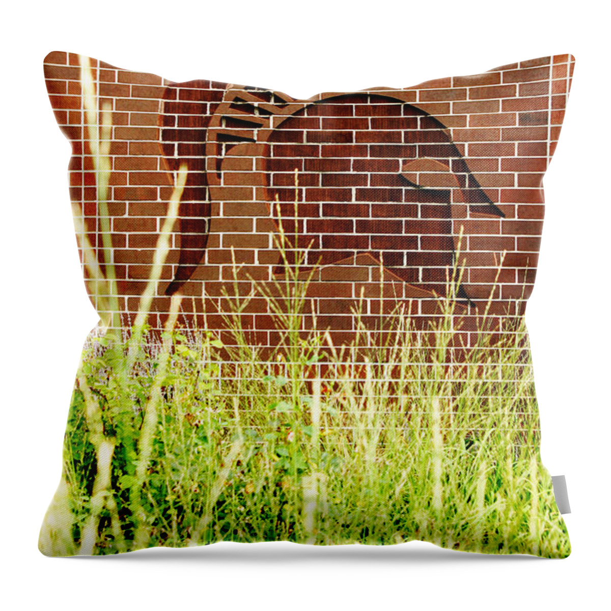 Michigan State University Throw Pillow featuring the photograph Sparty on the Wall by John McGraw