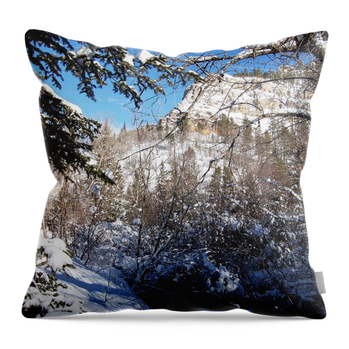 Dakota Throw Pillow featuring the photograph Spearfish Canyon in Snow by Greni Graph