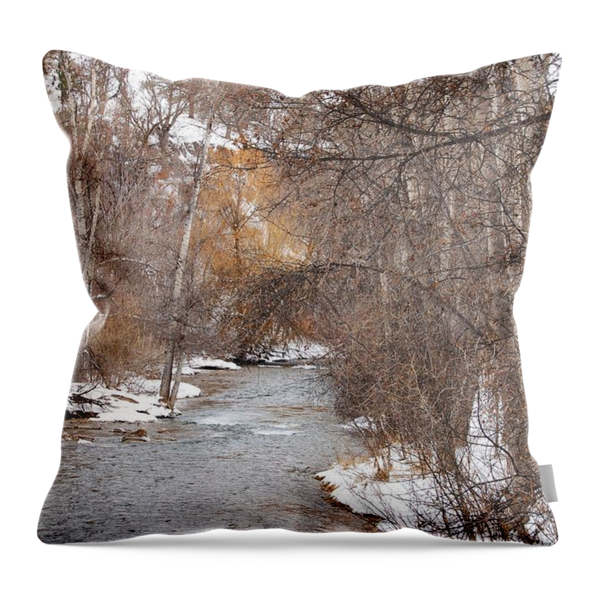 Dakota Throw Pillow featuring the photograph Spearfish Creek in Winter by Greni Graph