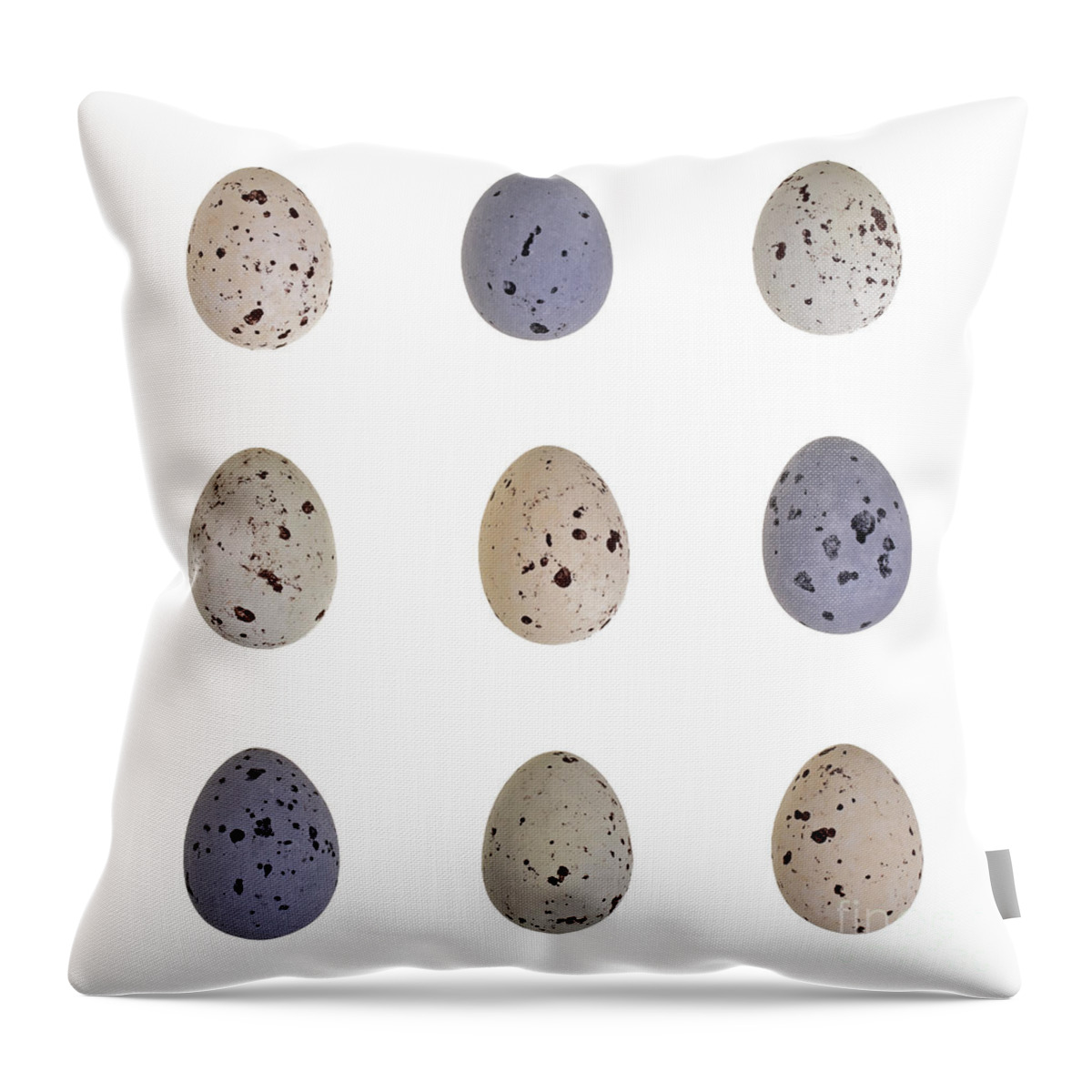 Taste Throw Pillow featuring the photograph Speckled egg tic-tac-toe by Jane Rix