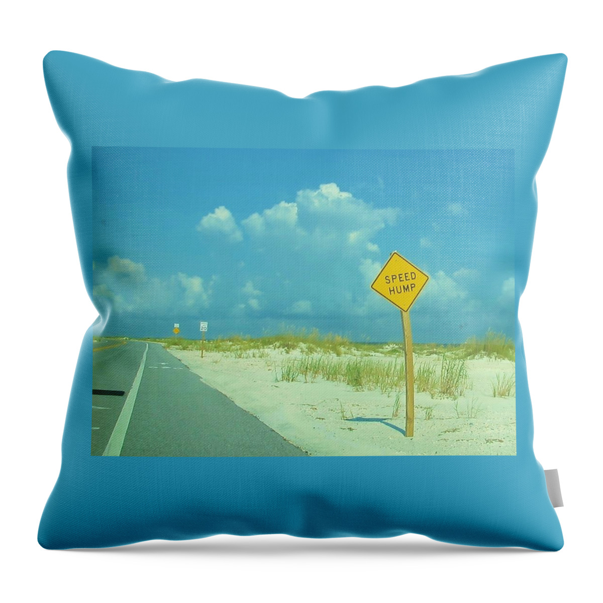 Street Sign Throw Pillow featuring the photograph Speed Hump by Deborah Lacoste