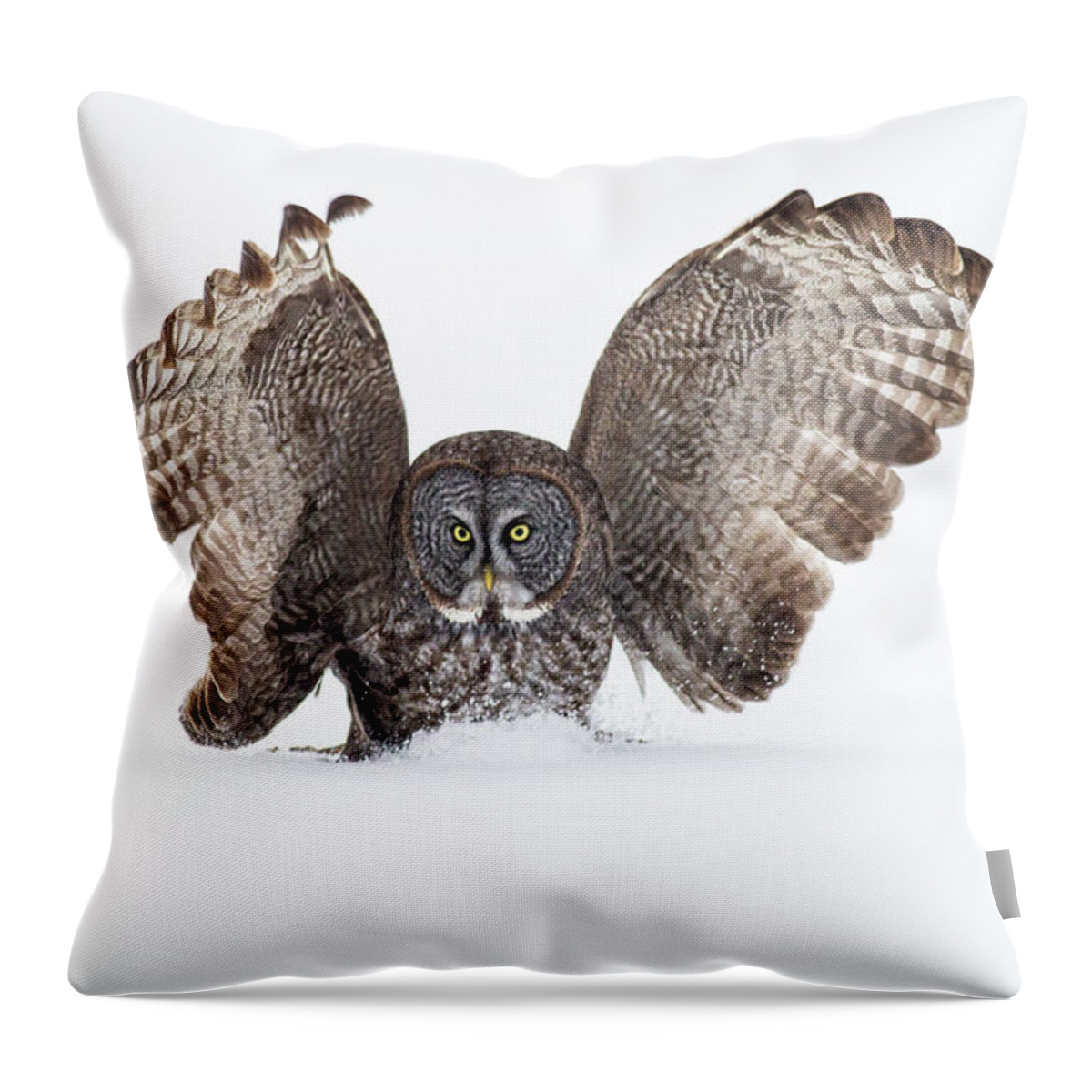 Snow Throw Pillow featuring the photograph Spellbound by Bill Mcmullen