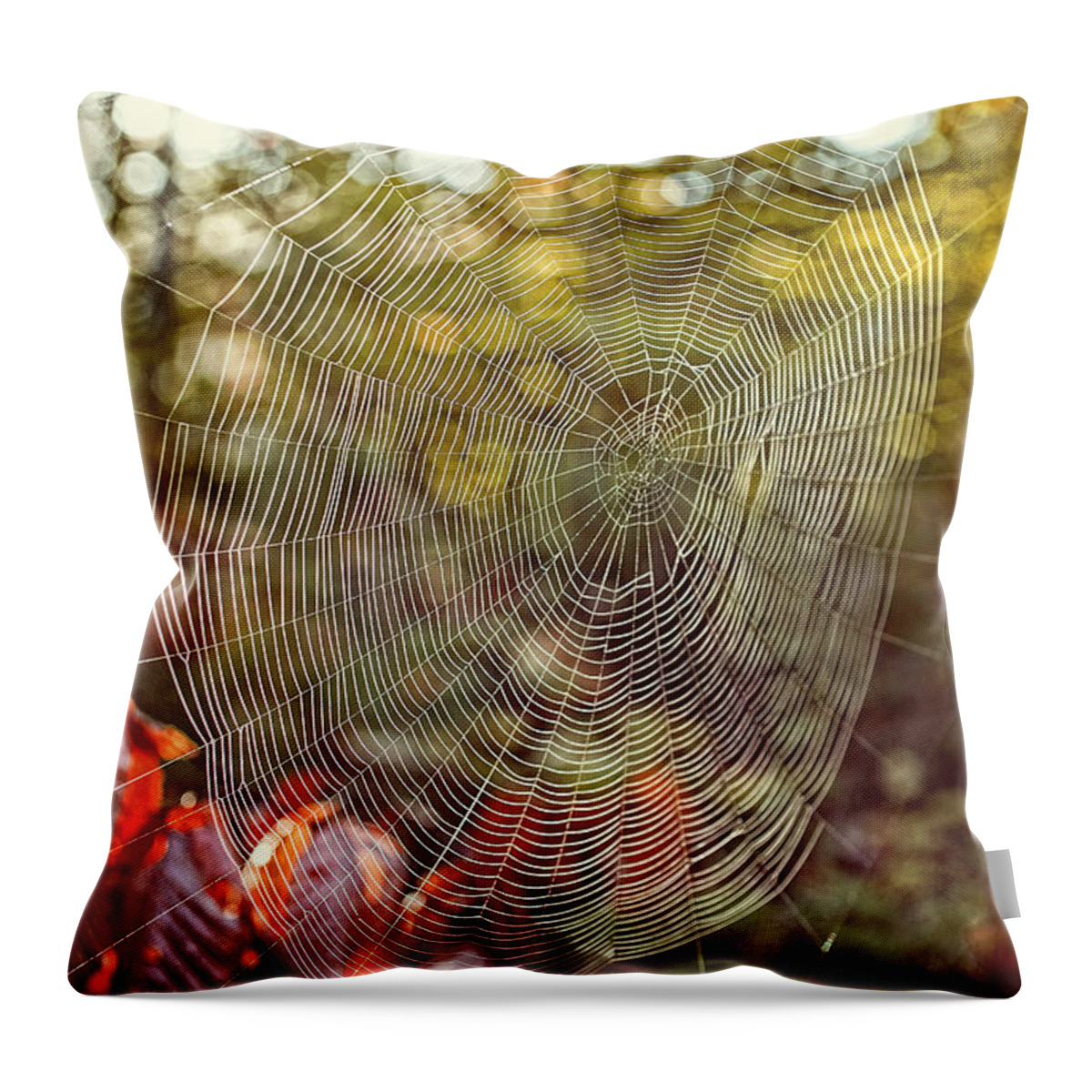 Background Throw Pillow featuring the photograph Spider Web by Edward Fielding