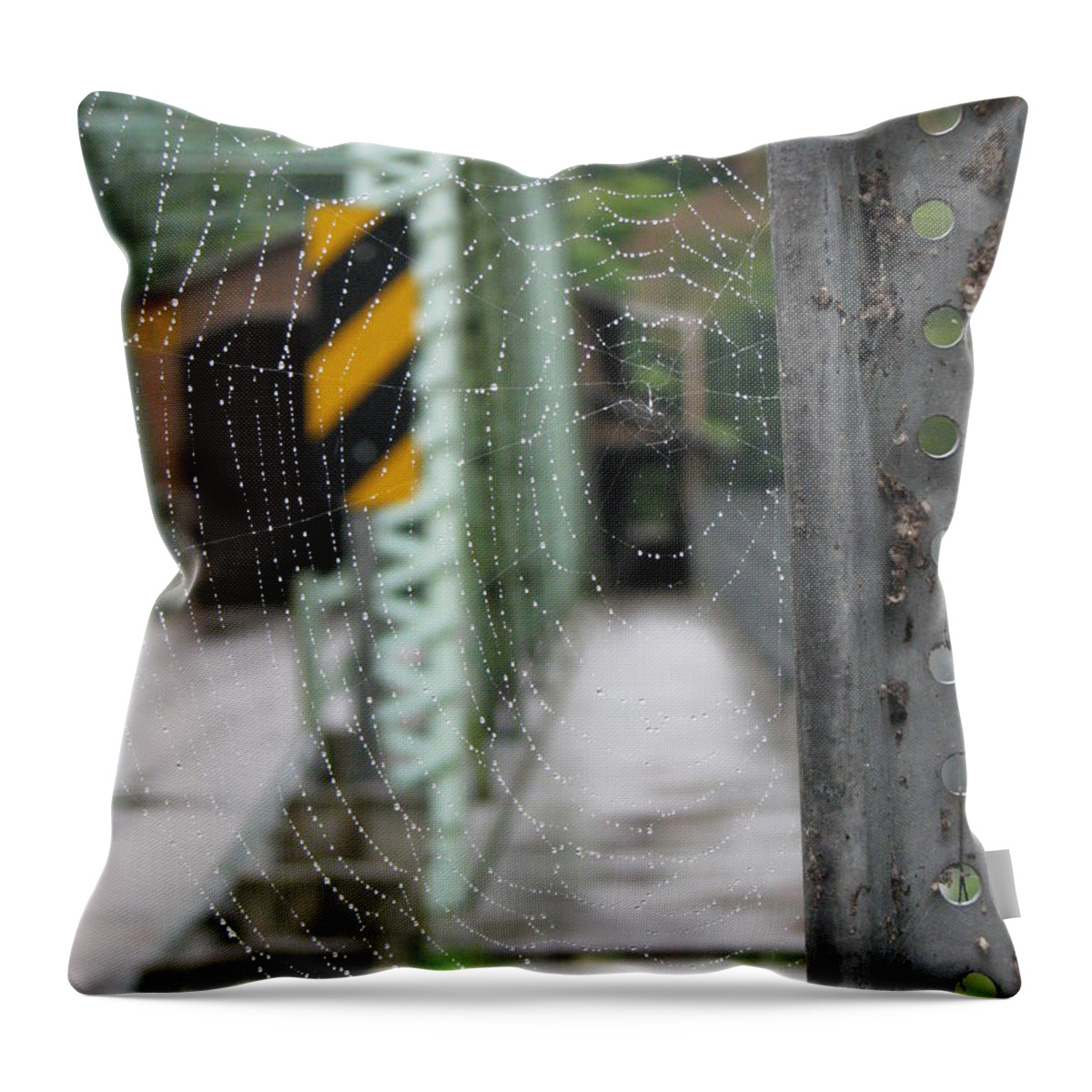 Spider Web Throw Pillow featuring the photograph Spider Web by Michael Krek