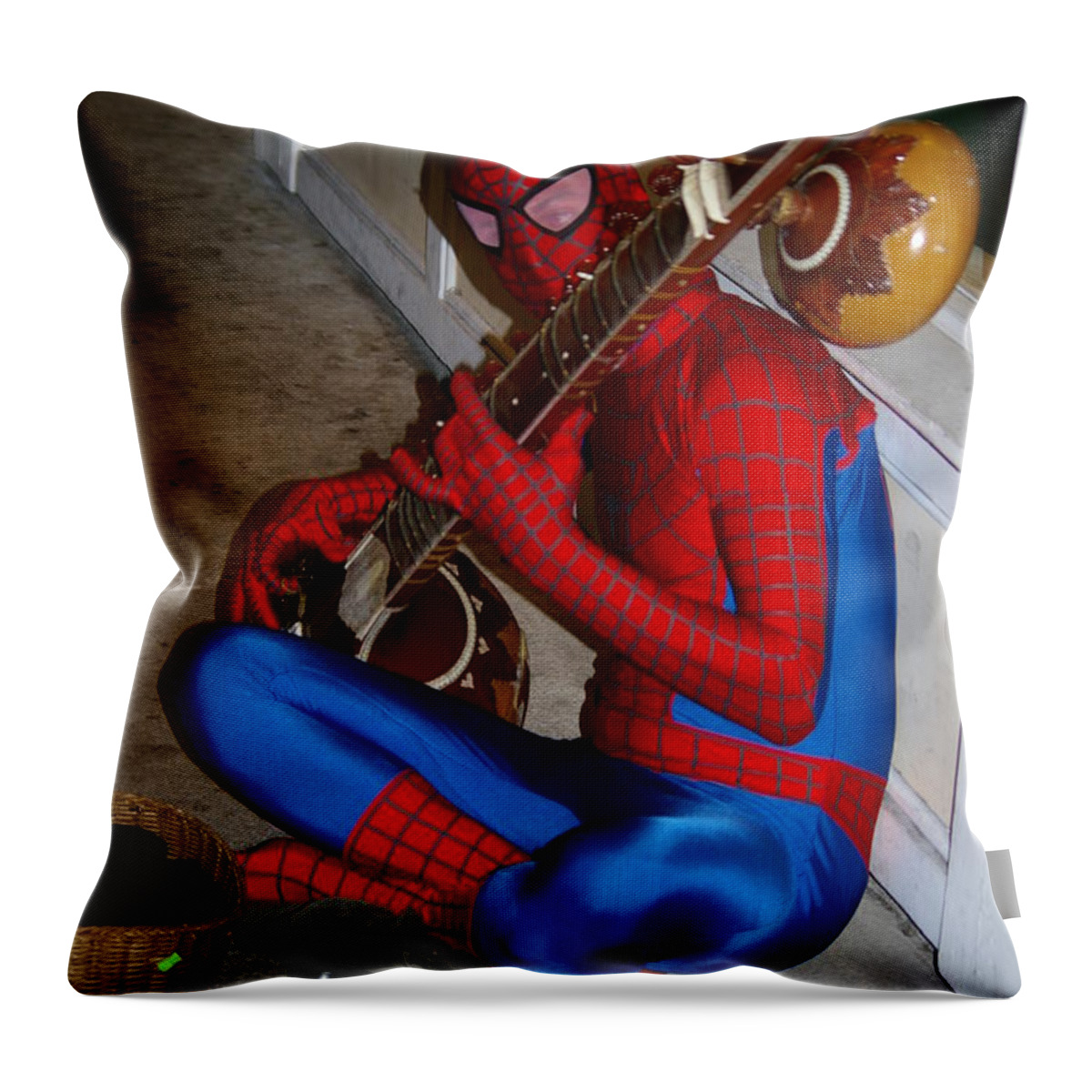 Sitar Throw Pillow featuring the photograph Spiderman's Sitar by Greg Graham