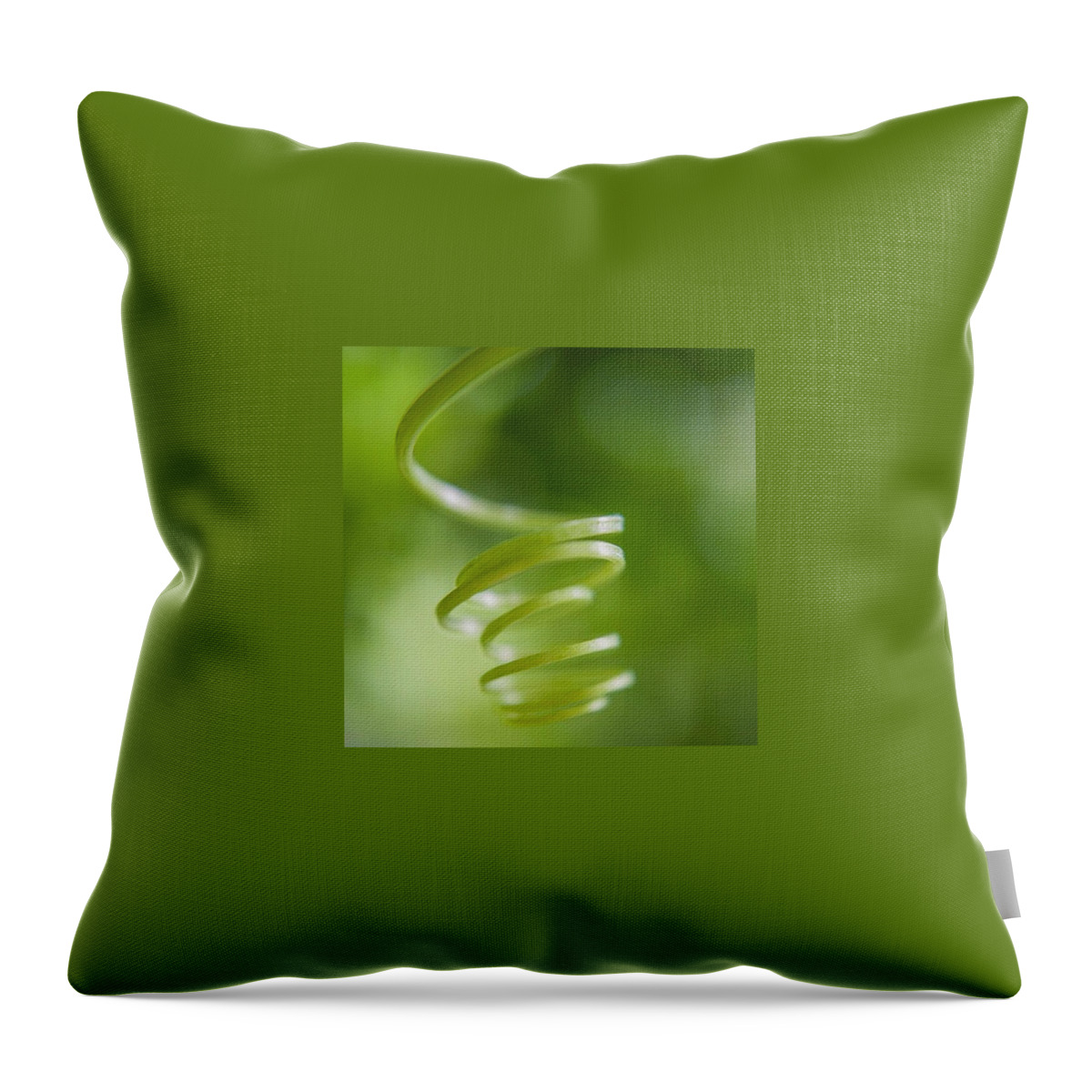 Plant Throw Pillow featuring the photograph Spiral by Aleck Cartwright