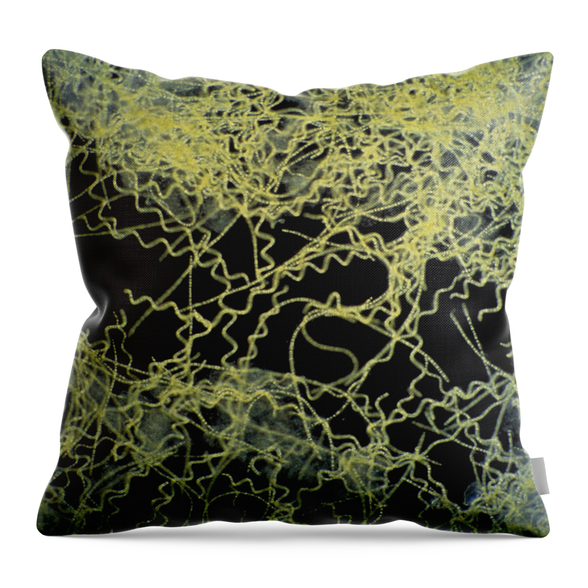 Algae Throw Pillow featuring the photograph Spirulina Platensis Algae by Michael Abbey