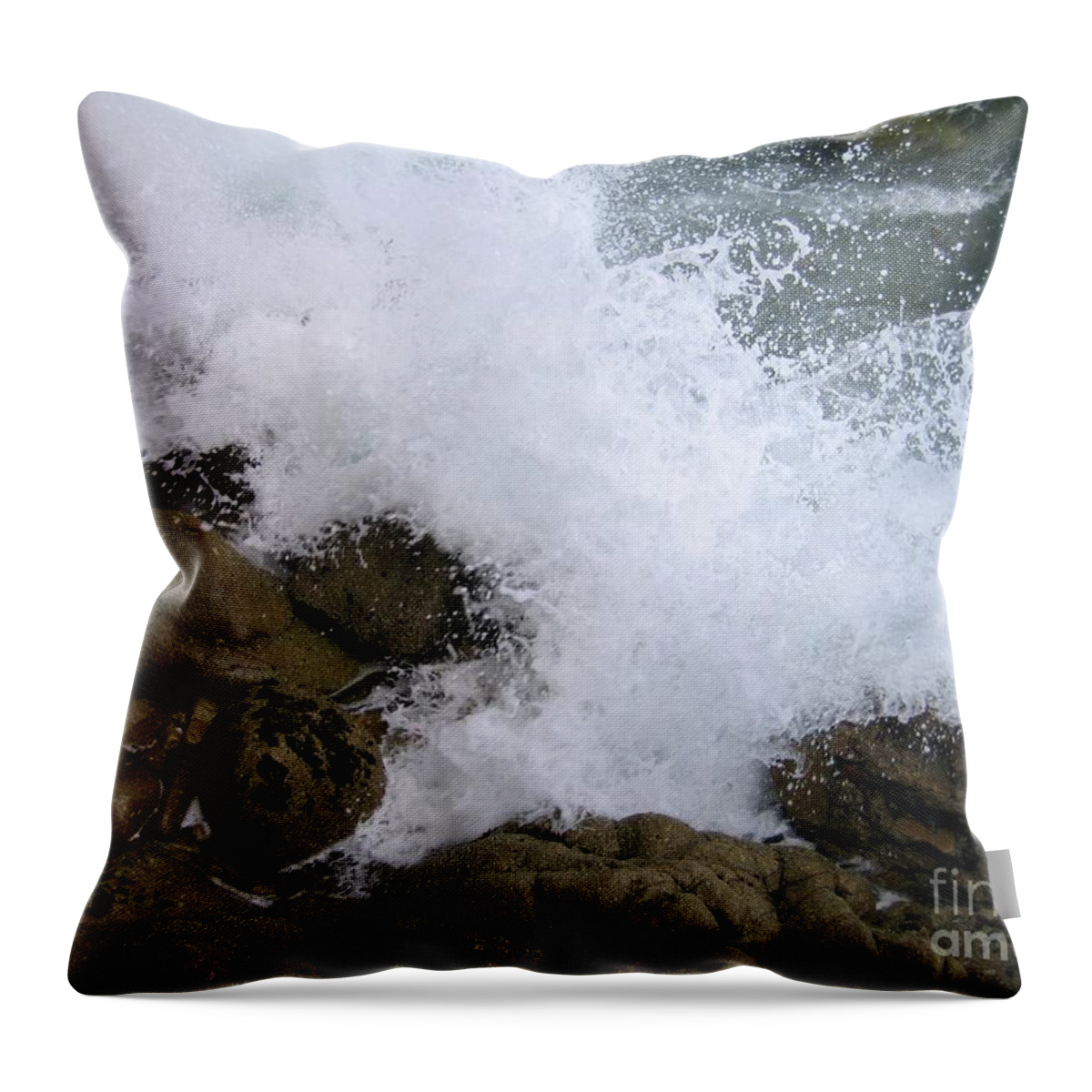 Splash Throw Pillow featuring the photograph Splash by James B Toy