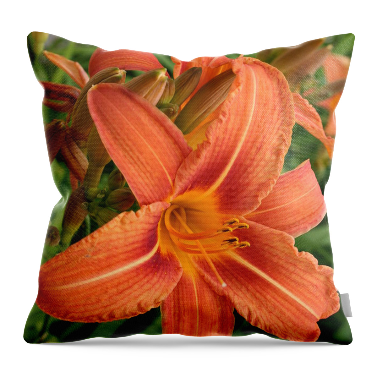 Lilies Throw Pillow featuring the photograph Splendid Day Lily by Christiane Schulze Art And Photography