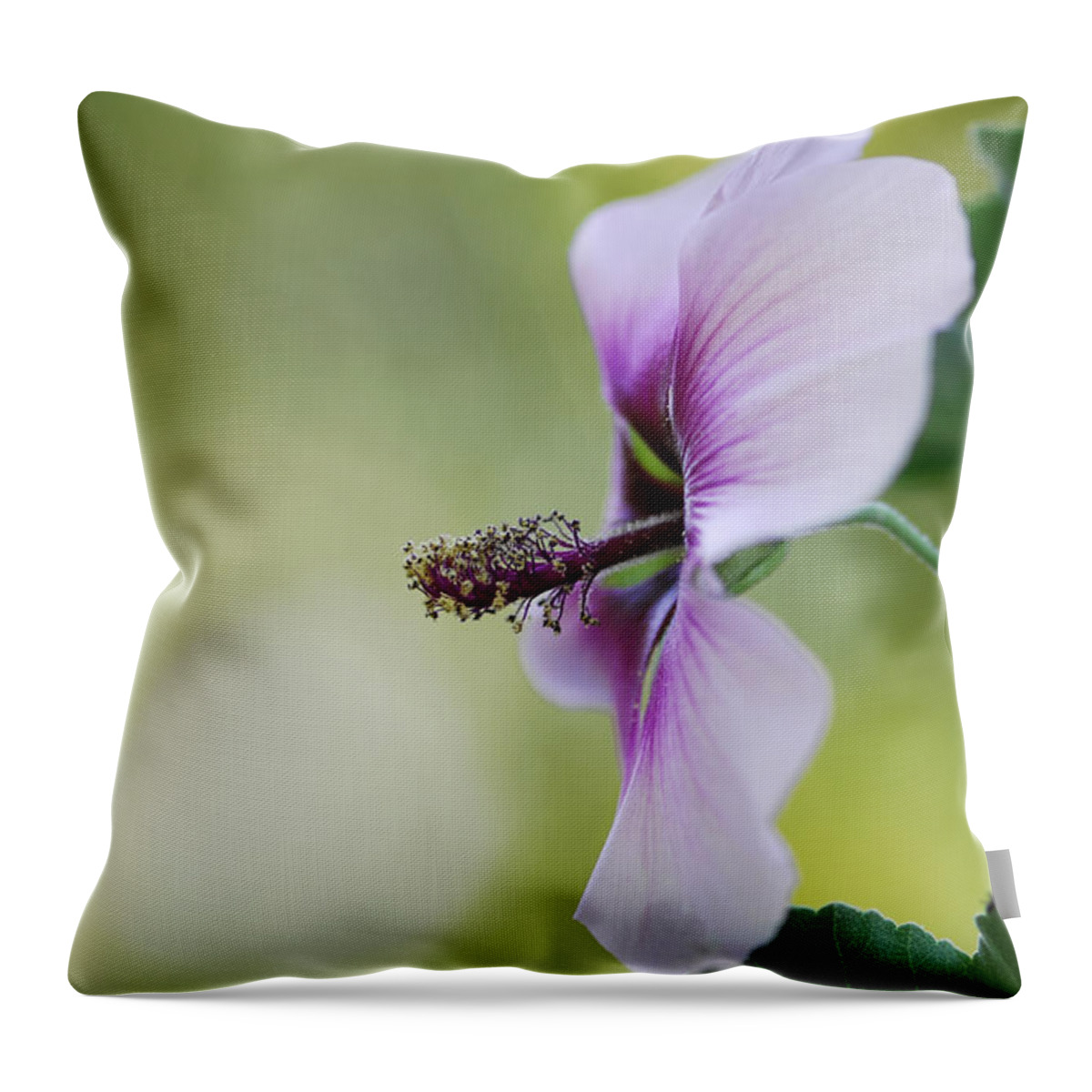 Flower Throw Pillow featuring the photograph Splendor by Donna Blackhall