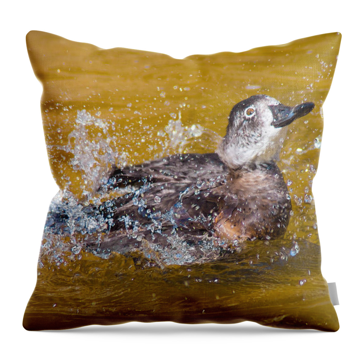 Bird Throw Pillow featuring the photograph Splishin' N Splashin' by Bill Pevlor
