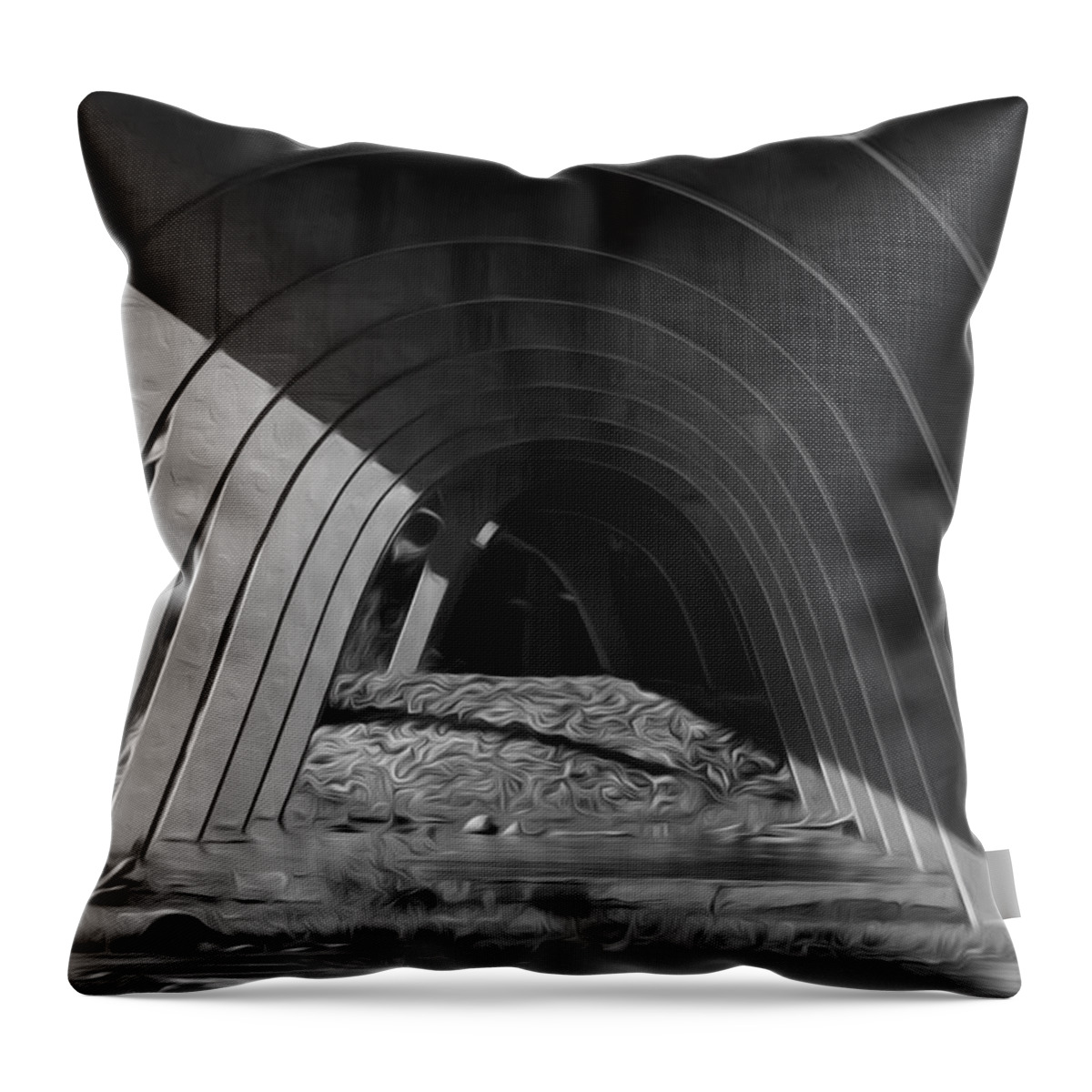 Bridge Throw Pillow featuring the digital art Split Shade by Kelvin Booker