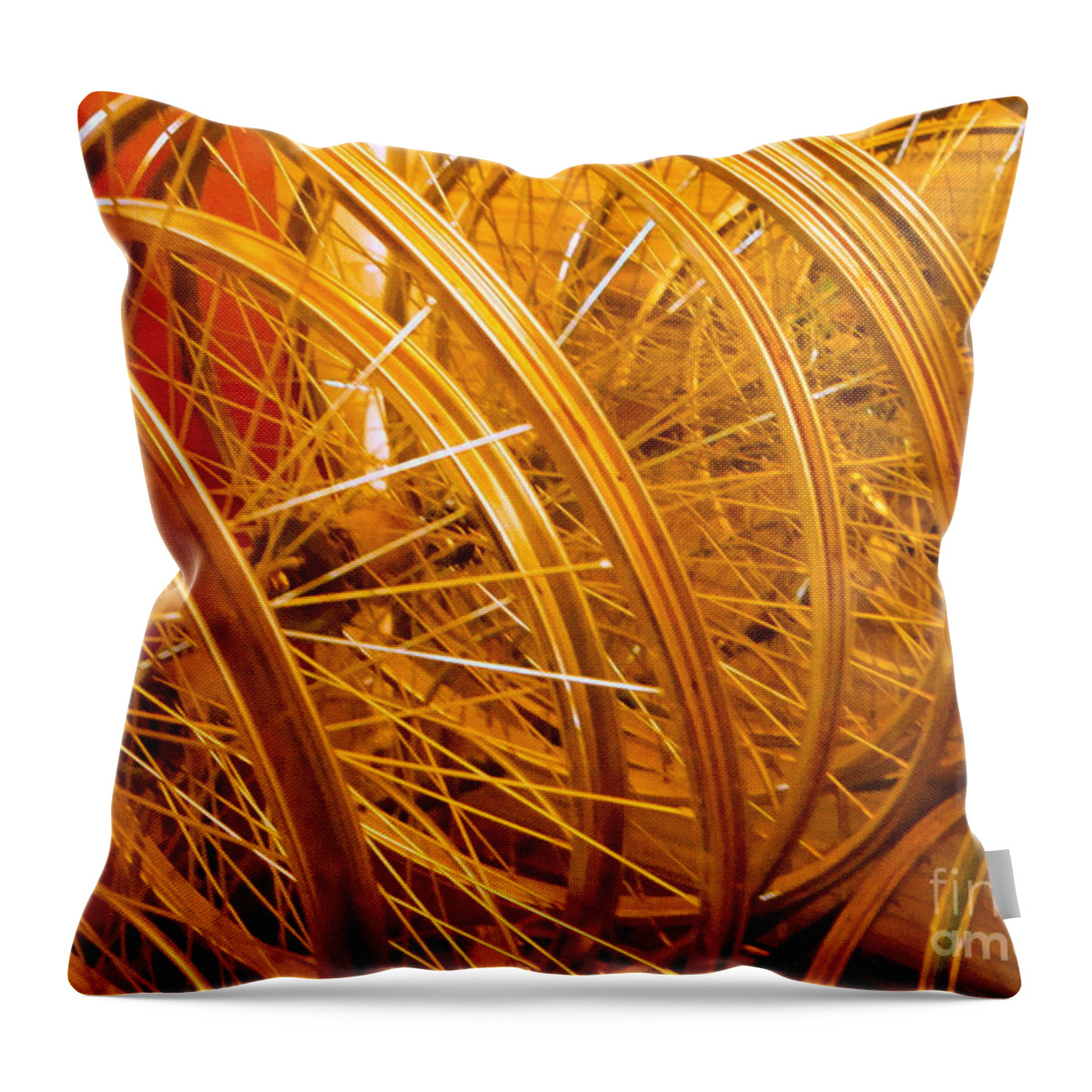 Cathy Dee Janes Throw Pillow featuring the photograph Spoke to Me by Cathy Dee Janes