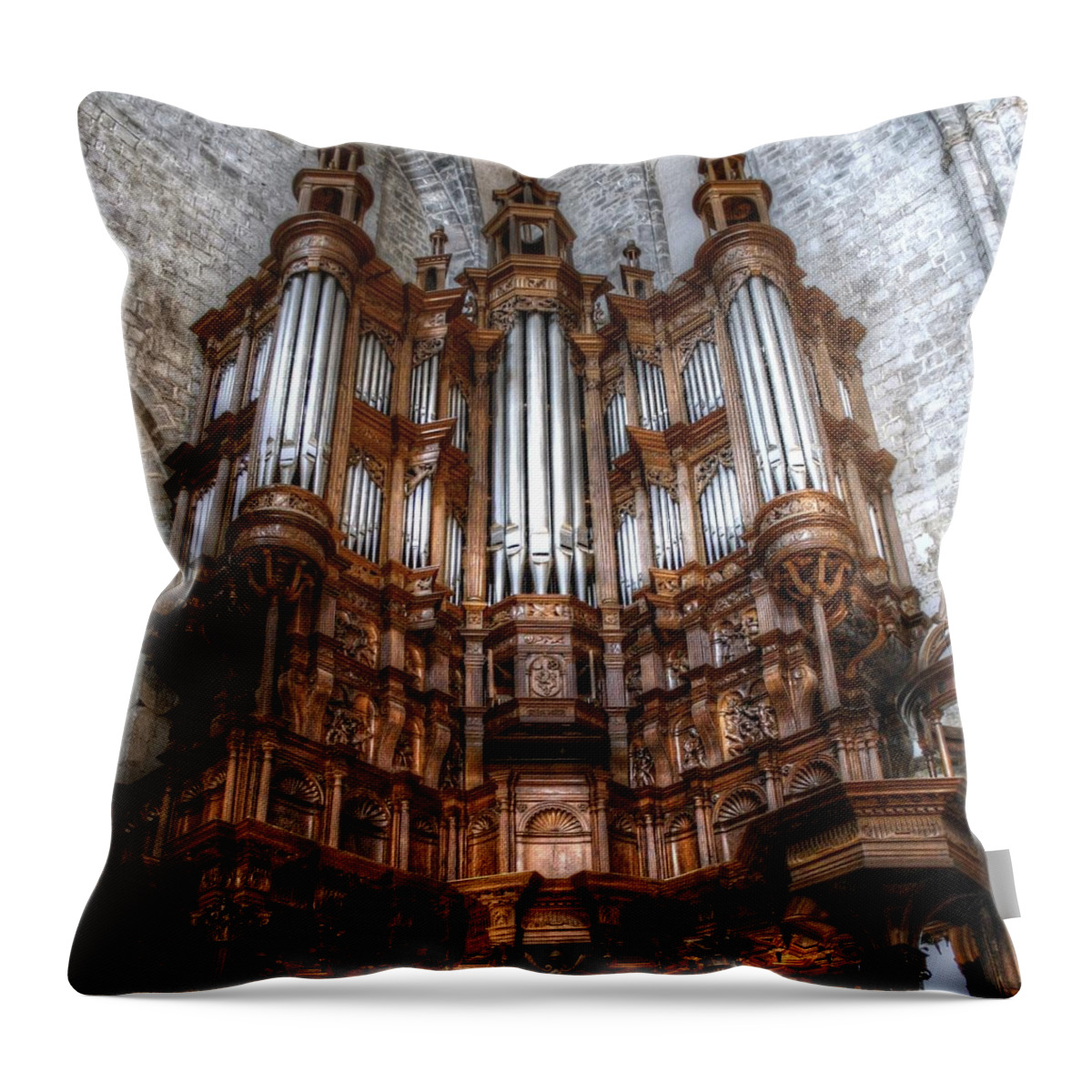 France Throw Pillow featuring the photograph Spooky organ by Jenny Setchell