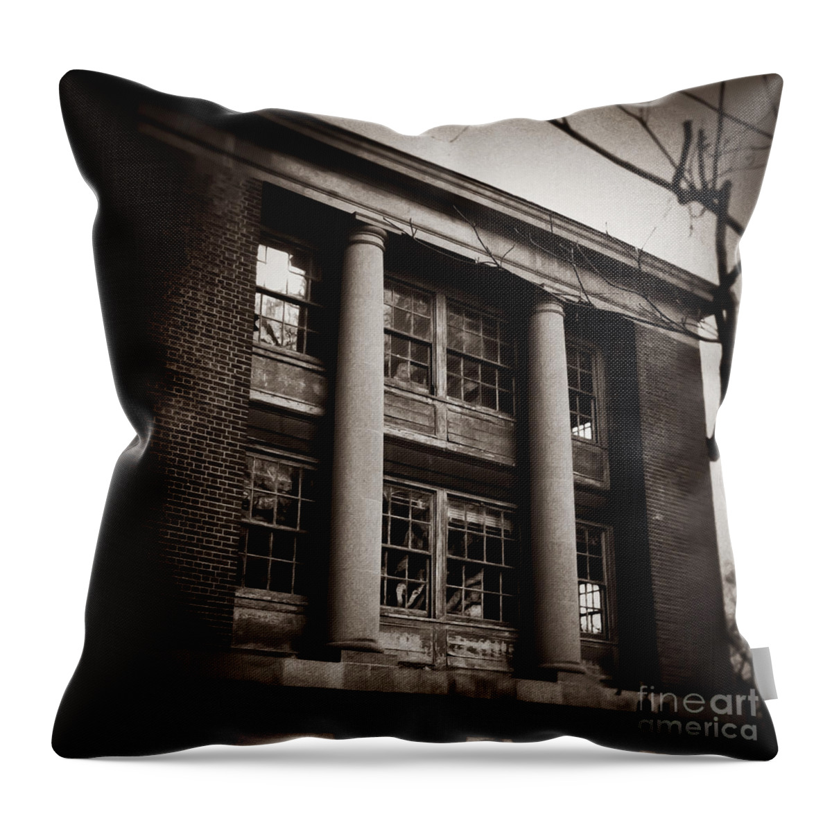 Memphis Throw Pillow featuring the photograph Spooky Place Memphis Tennessee by T Lowry Wilson