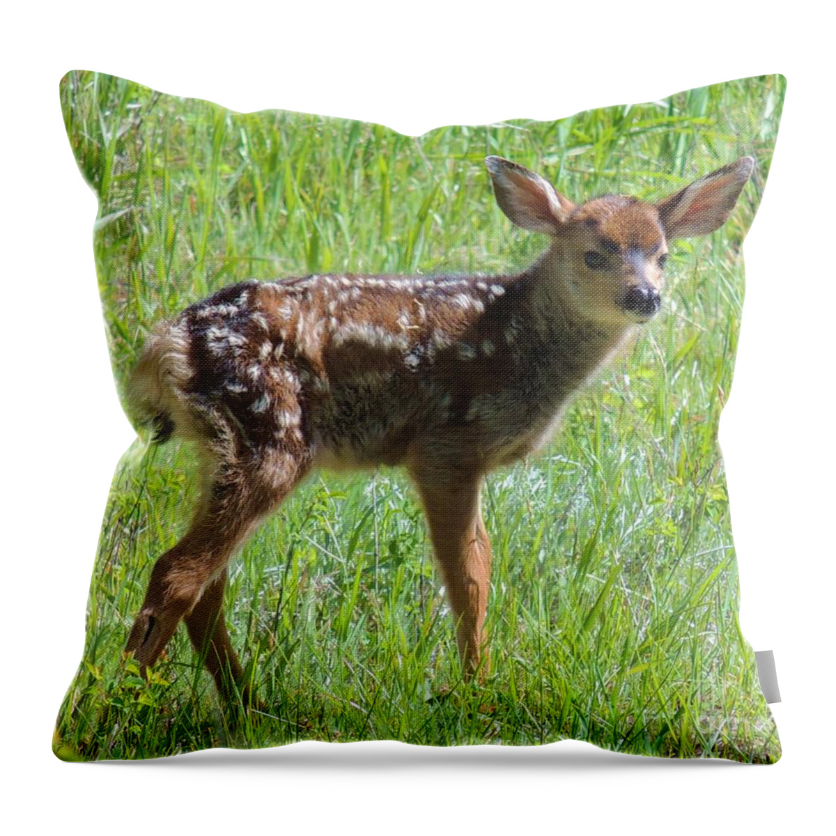 Fawn Throw Pillow featuring the photograph Spotted Fawn by Michele Penner
