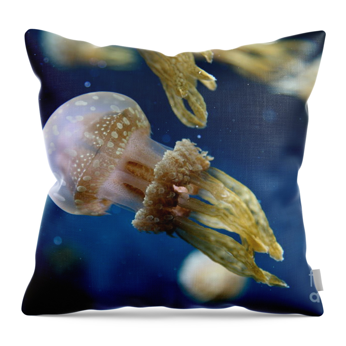 Jelly Throw Pillow featuring the photograph Spotted Jelly Fish 5D24955 by Wingsdomain Art and Photography
