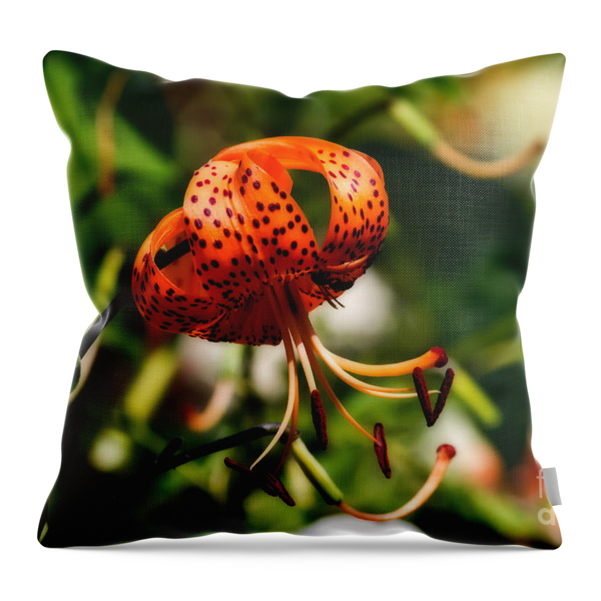 Flower Throw Pillow featuring the photograph Spotted Orange Lily by Ms Judi