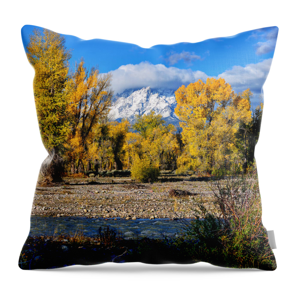 Spread Creek Throw Pillow featuring the photograph Spread Creek Grand Teton National Park by Greg Norrell