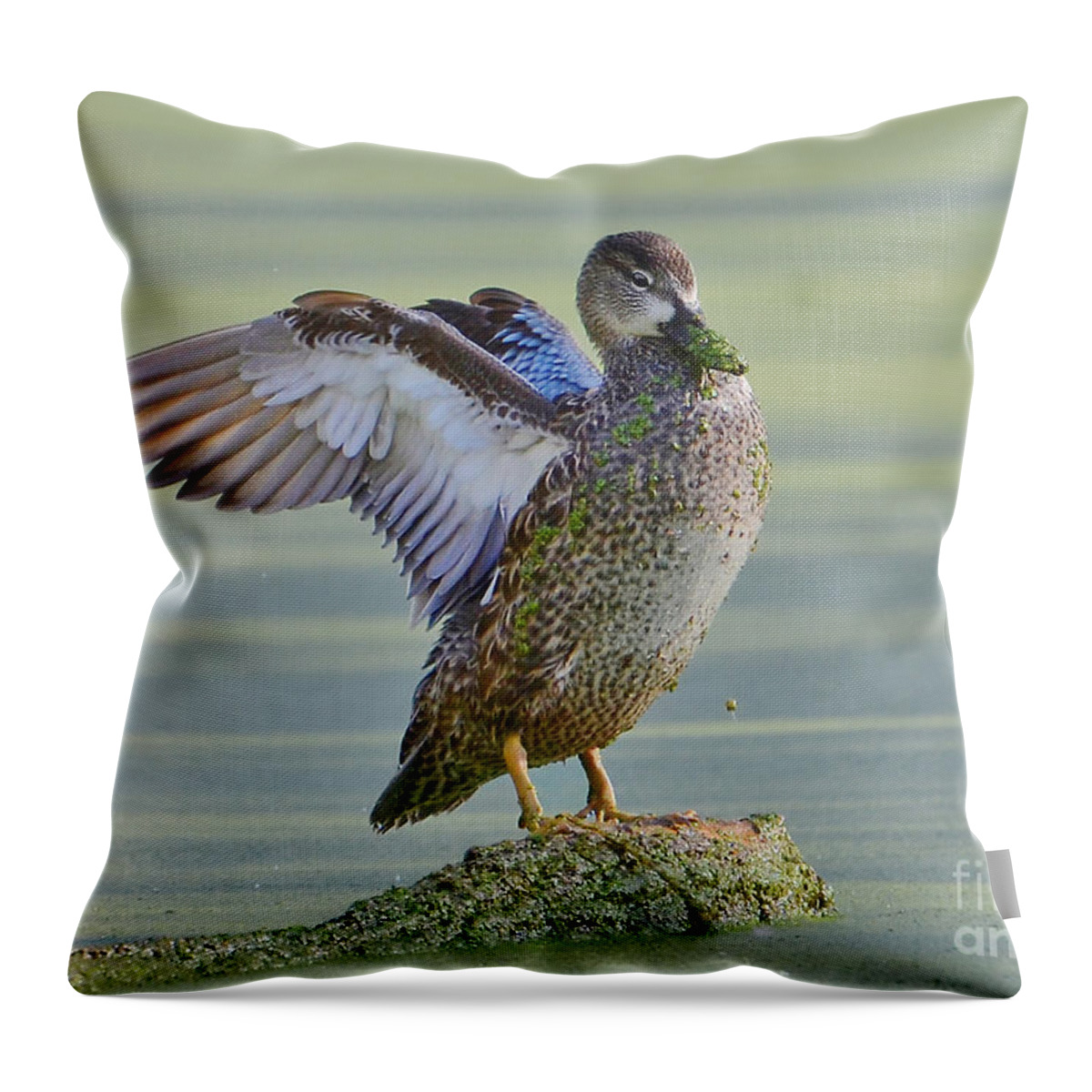 Ducks Throw Pillow featuring the photograph Spreading Her Wings by Kathy Baccari