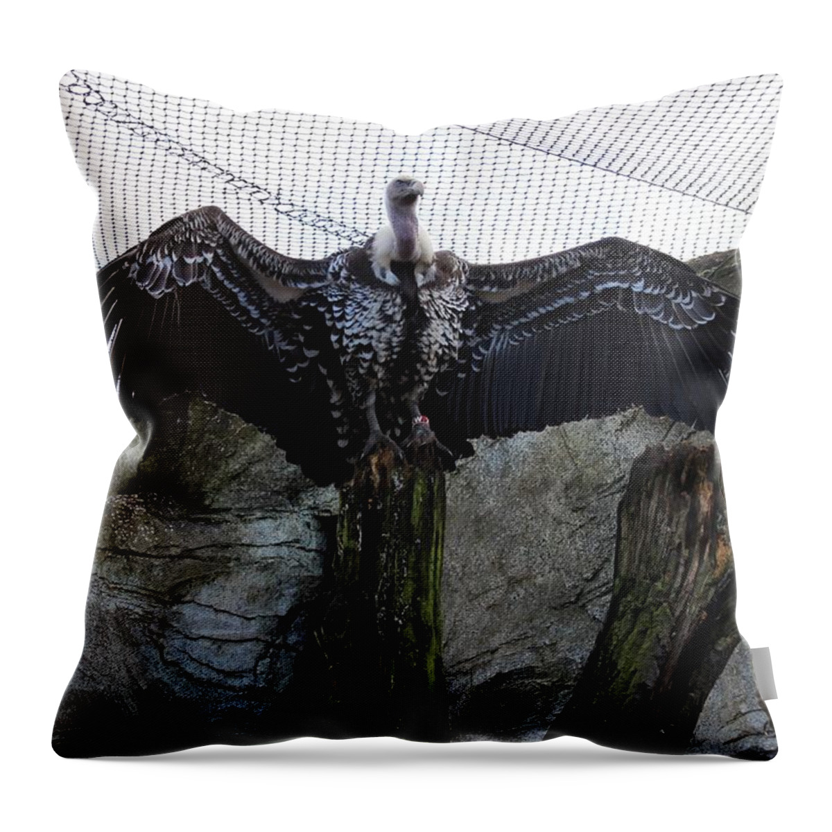 Wingspan Throw Pillow featuring the photograph Spreading my Wings by Sarah Qua